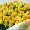 黄色いバラの花束【本数選択】　　　　　　　　　　　　10本￥6000～